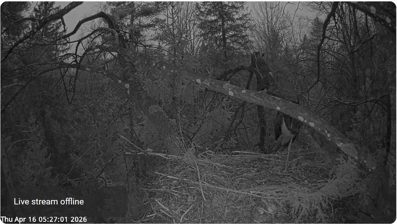 2026 04 16 p 05 27 01