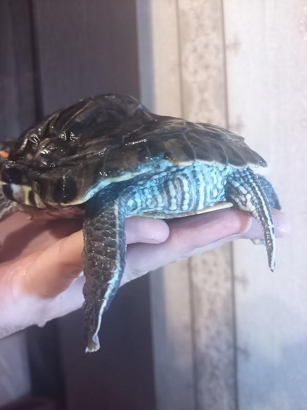 IMG_20250921_210602_6CS