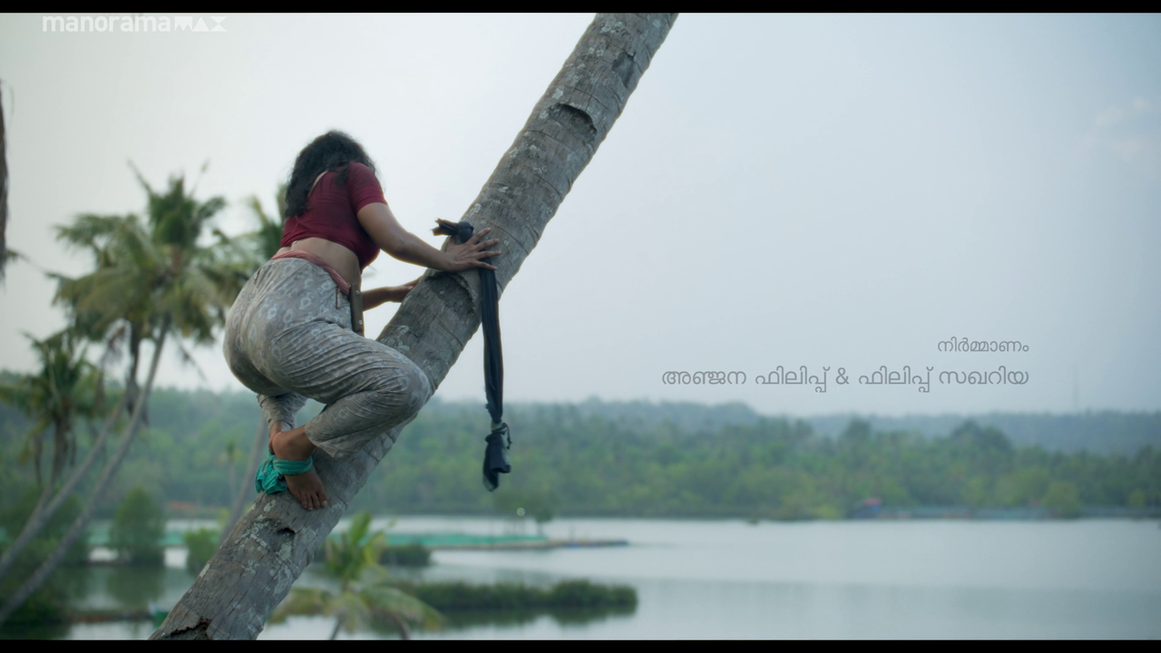 vlcsnap 2026 02 25 12h48m04s045