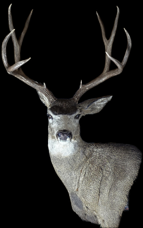 Screenshot 20260321 201128 Gallery