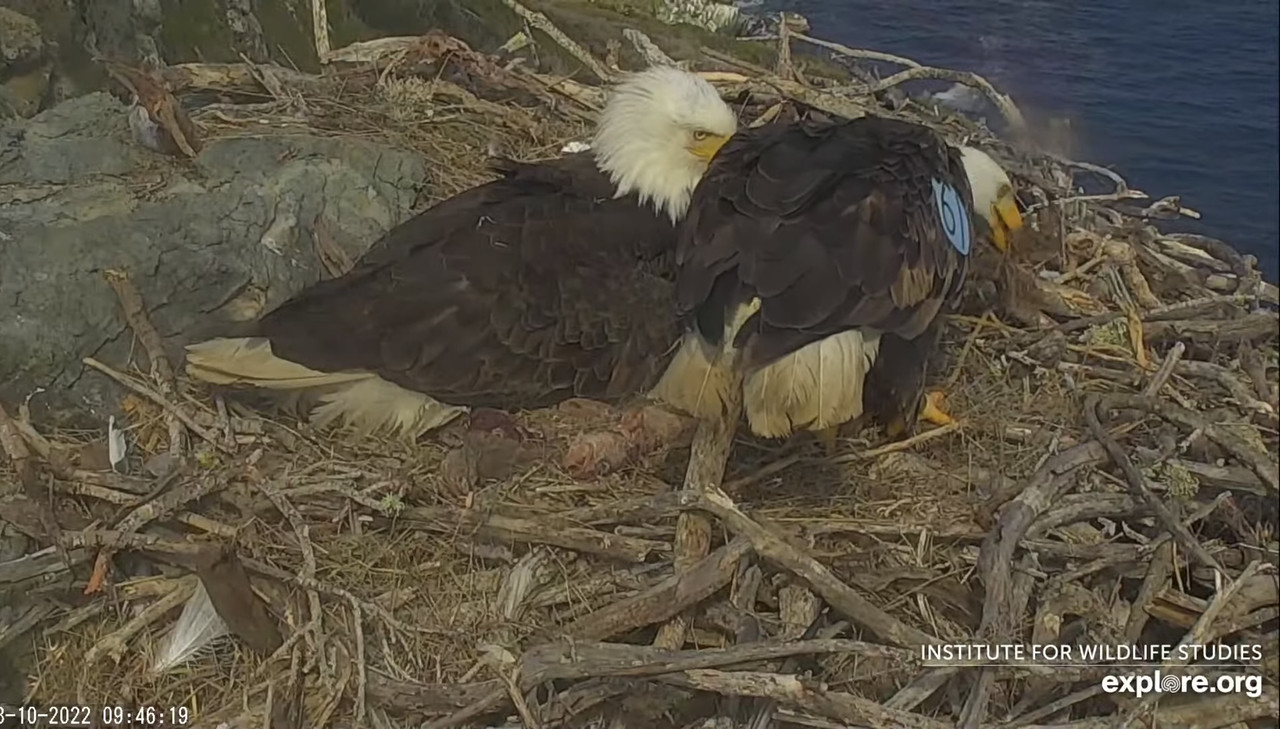 B892718A-60CC-44EF-93B5-6EF9C8E246A3