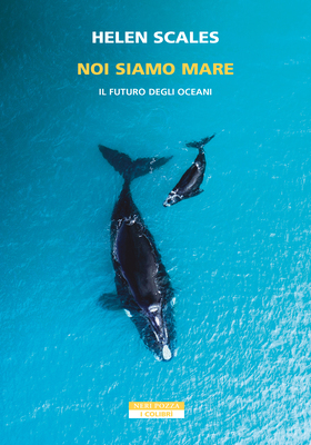 Helen Scales - Noi siamo mare (2026)