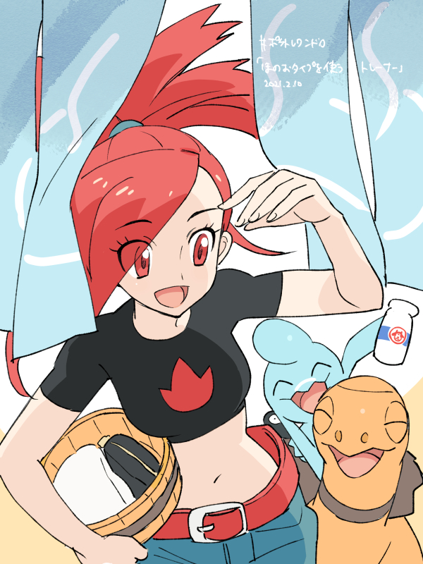 flannery-torkoal-and-wynaut-pokemon-and-