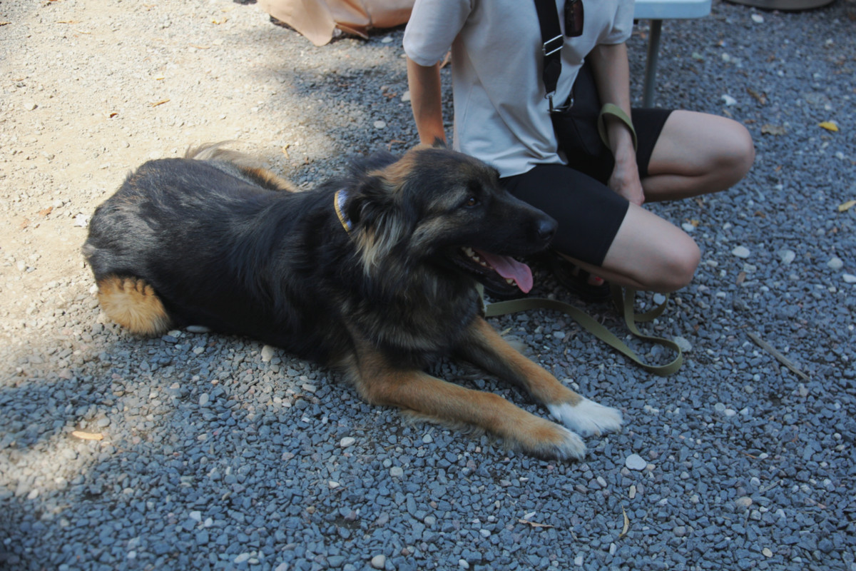 23-08-08_15-35-00-095