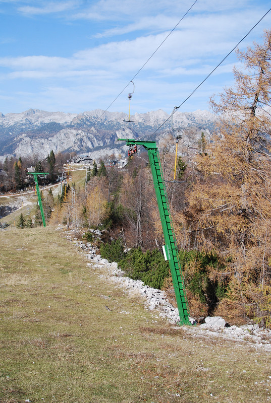 vogel okt 2022 (135)