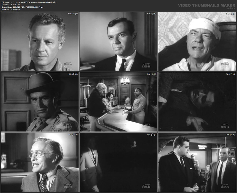 Perry.Mason.703.The.Drowsy.Mosquito.(Tvrip).mkv