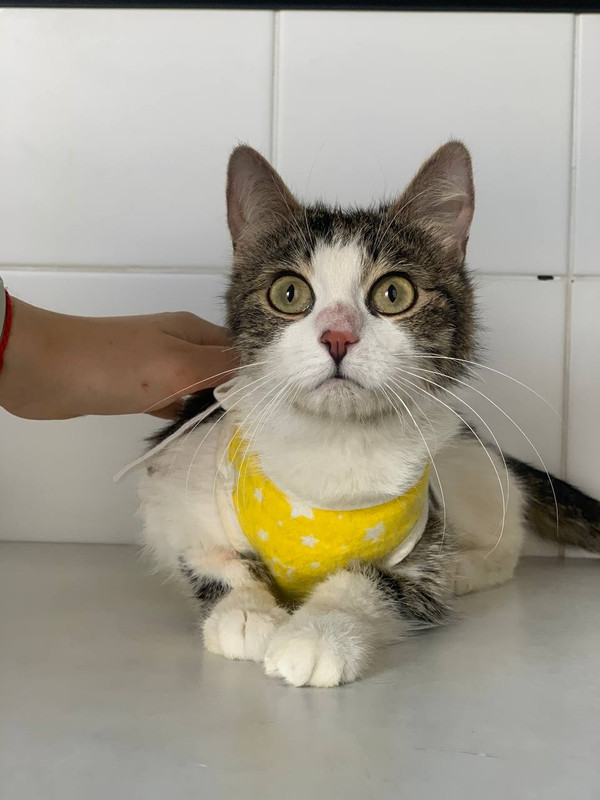 86E89E56-A861-4862-8D13-0D48E1926097