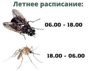 https://i.postimg.cc/VNmk8V3Q/image.jpg