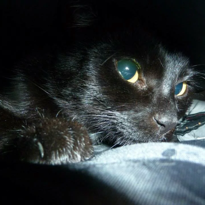 IMG_20221102_012934_696