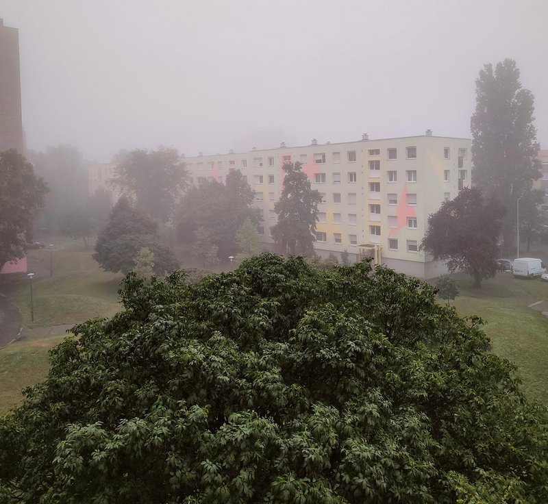 Kép