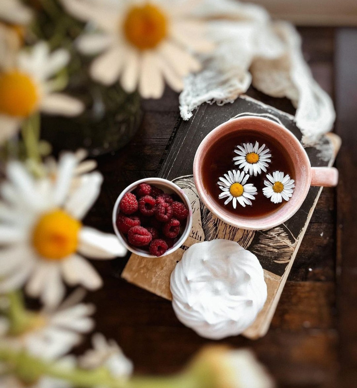 Screenshot_20231203_233658_Instagram