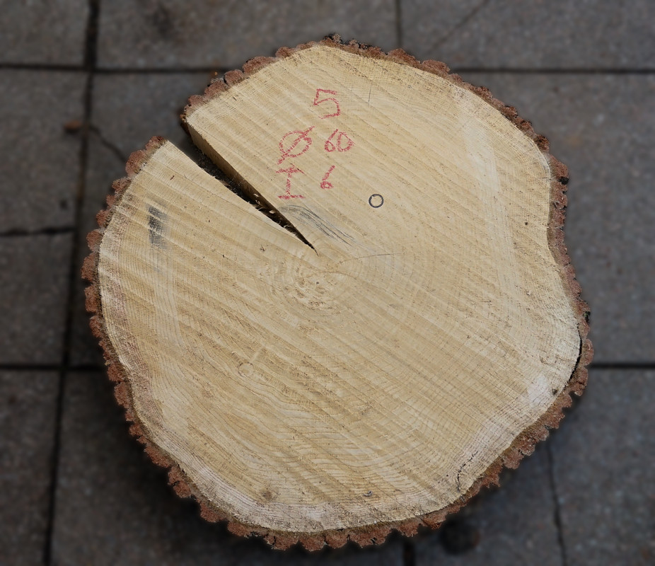 Eiken boomstamschijf 5