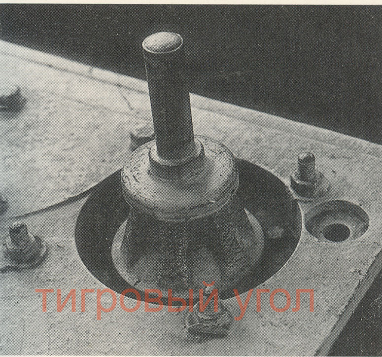 тамия невс0008