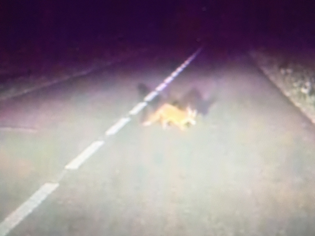 7B8C055C-8C89-4E84-BE4E-0C03B0FA530F