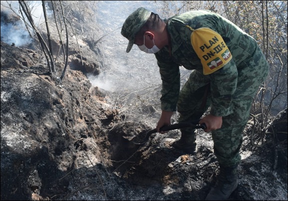 Ejército Mexicano despliega más de 530 efectivos para aplicar el Plan DN-III-E en diversos estados del país por incendios forestales