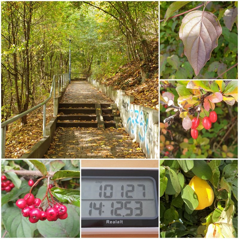 77EE6AF9-F58C-48F1-8BC2-B09F7822620C