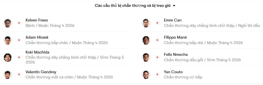 luc luong Hoffenheim vs Dortmund