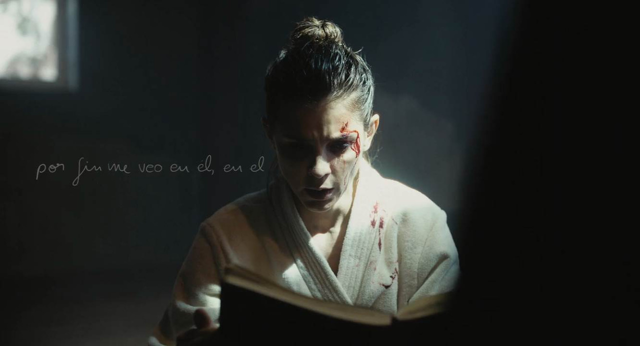 The Diary 2024 WebRip [Hindi + English] 480p, 720p ESub Screenshot