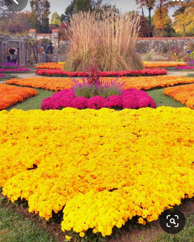 Screenshot_20230913_203525_Pinterest