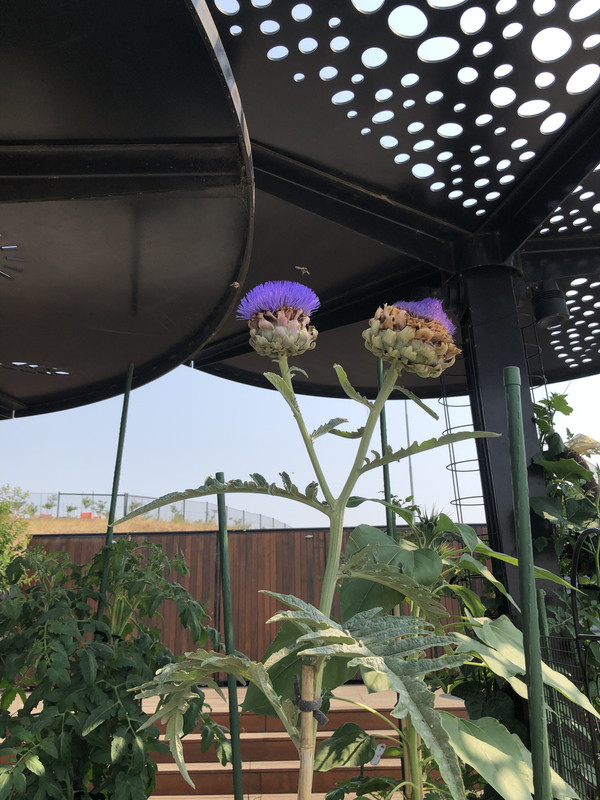 AA78-D106-1486-4577-A219-5-BA6-BA5733-F9