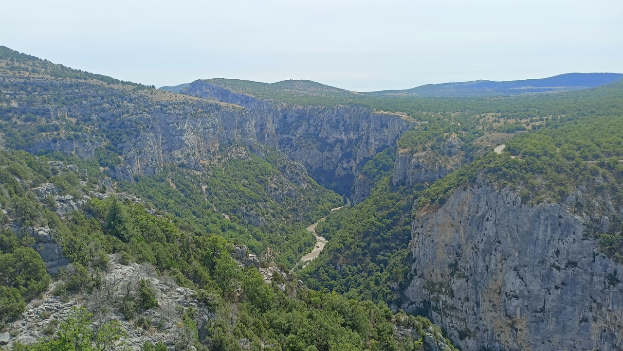 IMG20250804131214 (Large)