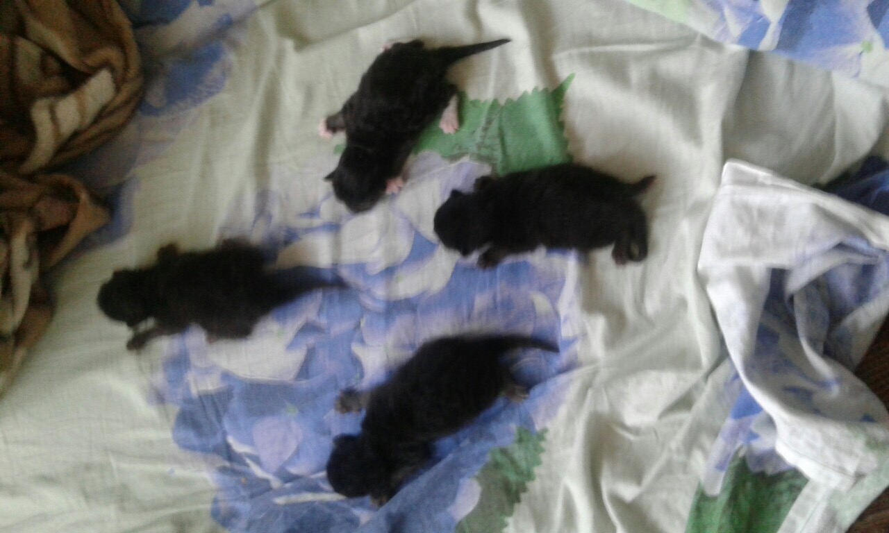 B010E23A-3EAE-4094-BB7B-4A31088F7E30