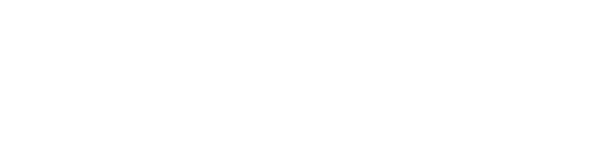 Advance Level Business Studies - BS For A/L
