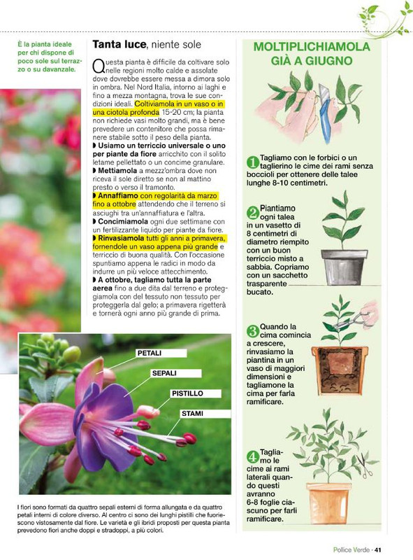 Pol Ver Mag 2020 (8)