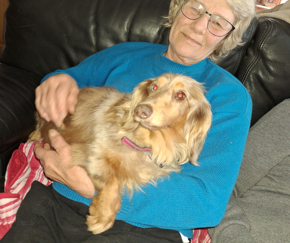 [Image: 20240419-152142.jpg]