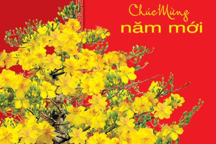 [Image: buc-thiep-chuc-mung-nam-moi-an-tuong-205...c89797.jpg]