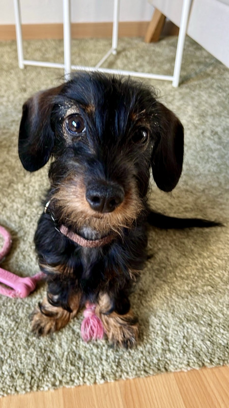 [Image: IMG-3465.jpg]