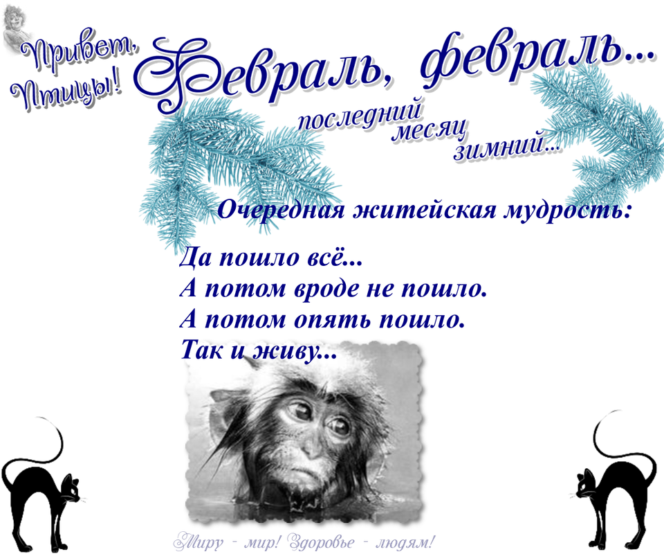https://i.postimg.cc/VNqhMBry/29-02.png