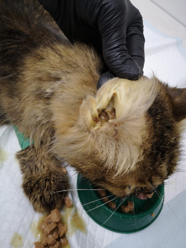 71923471-8280-4291-94D9-B4FC36F35D85