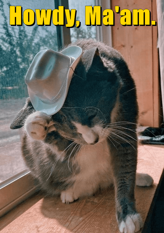 howdy-maam