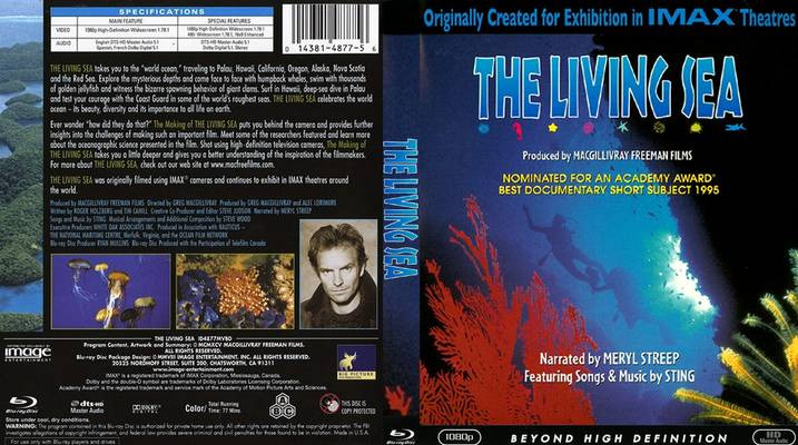 IMAX-Living-Sea-Bluray-720p-x264-Hun-Sub.jpg