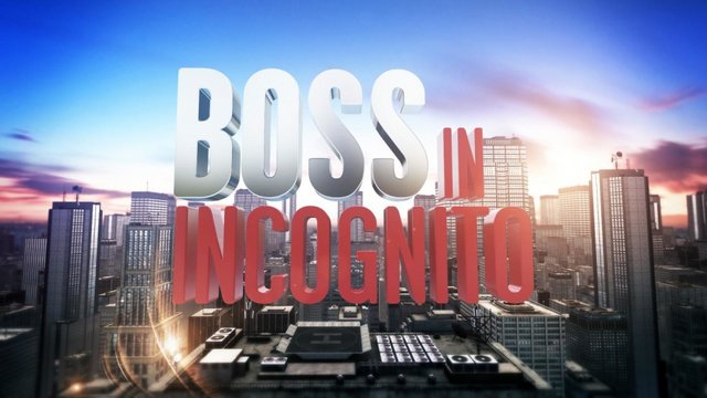 Boss In Incognito - Stagione 06 (4 Episodi, 2020) mkv WEBRip x264 AAC ITA