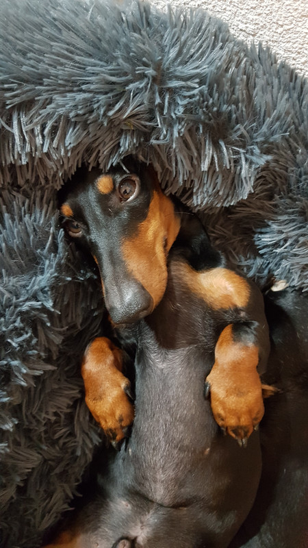 [Image: 20201112-210707.jpg]