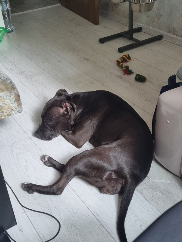 44E7EC37-2025-492B-8E4A-3BFE3310D0E0