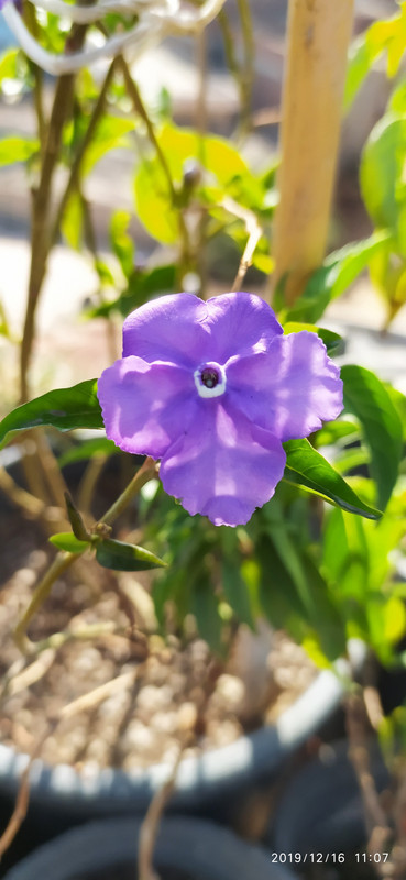 IMG_٢٠١٩١٢١٦_١١٠٧٤٨