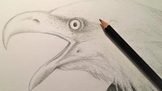 Shadow and Light - Conscious Drawing Techniques - Lesson 3 of 6