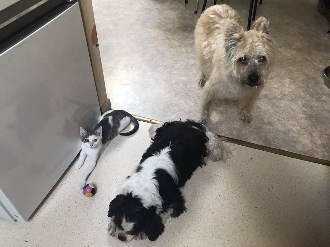 6FCDB275-A3B7-401B-8EF0-31512B3B73F4