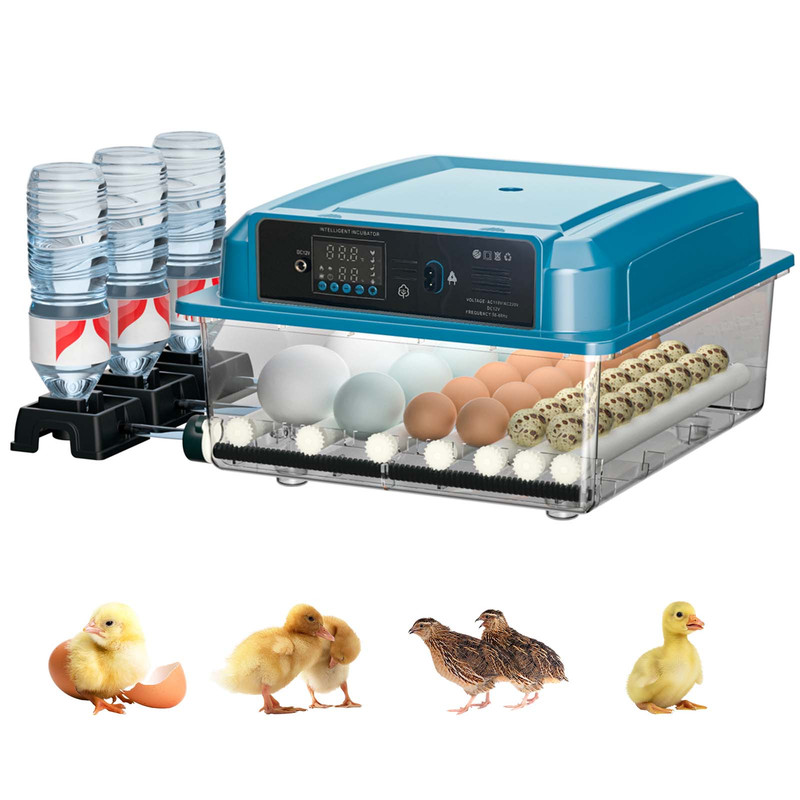 16/36 Eggs Incubator Clear For Poultry Hatching Machine Automatic Turning
