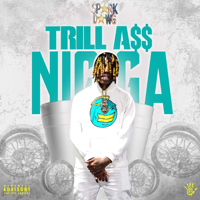 Spark-Dawg-Trill-A-N-gga-Artwork-web.png
