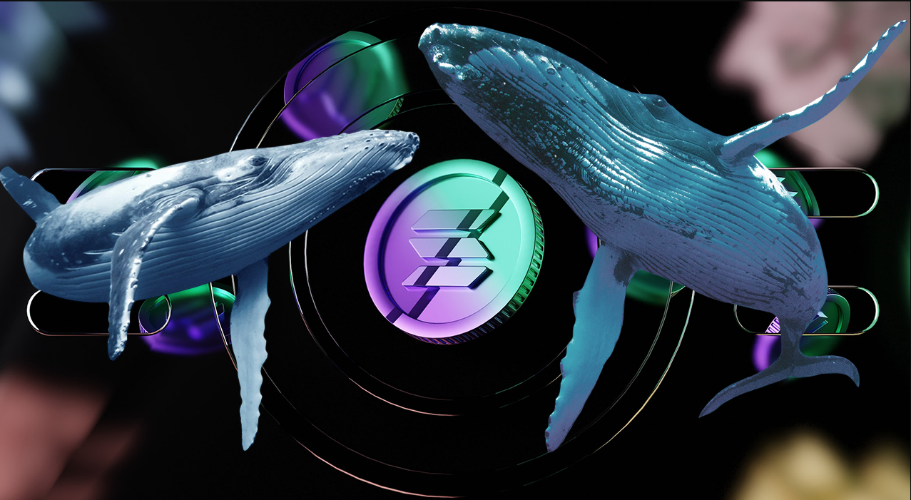 article imageОгромная транзакция от кита для Солана