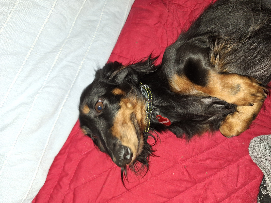 [Image: 20231017-164507.jpg]