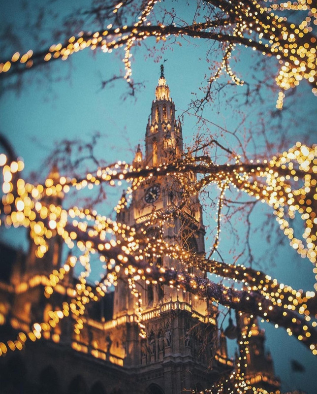 Screenshot_20231210_221948_Instagram