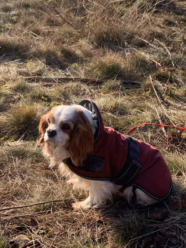 54ED93CB-65E1-4941-9ED9-F951ABCC013A