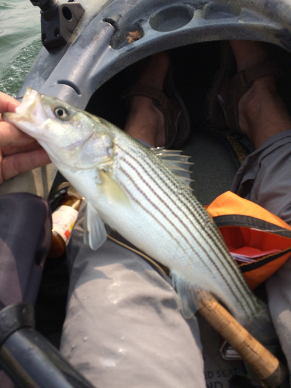 33D7A082-45E1-4DDF-8B4F-EF459678EA5E