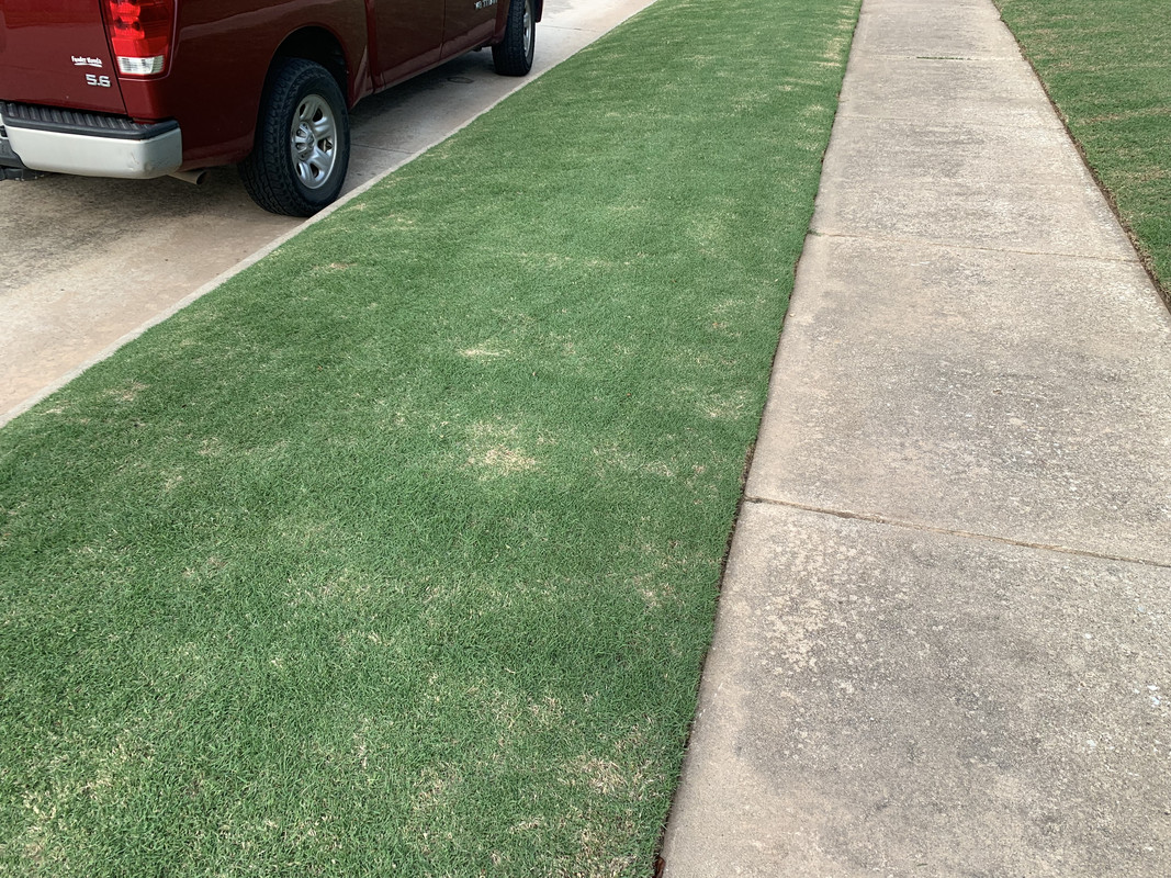 AC243E36-9403-4929-8E75-9B07A220AAD0