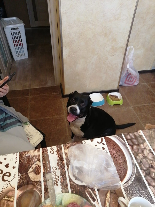 85255B6F-9EF7-4994-A48D-66E1C2E1F12D